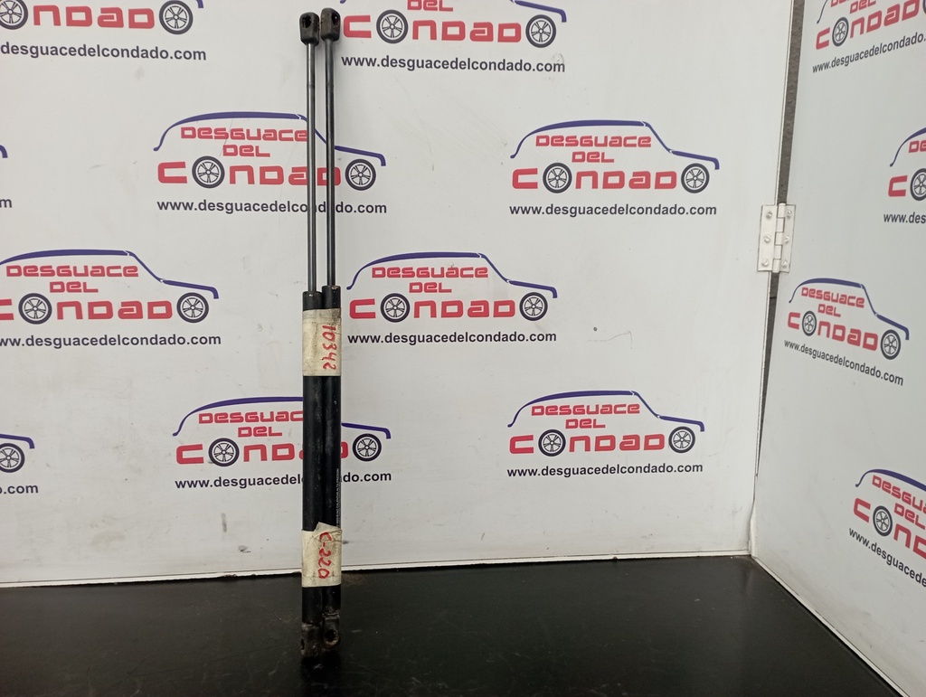 AMORTIGUADORES MALETERO / PORTON