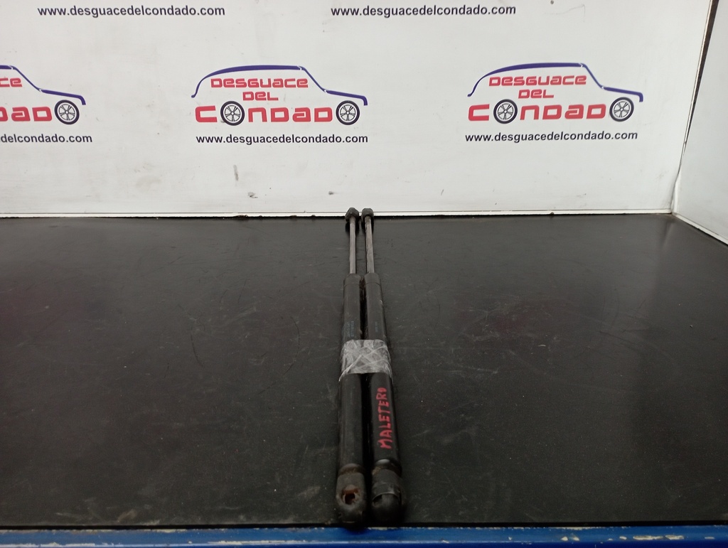 AMORTIGUADORES MALETERO / PORTON