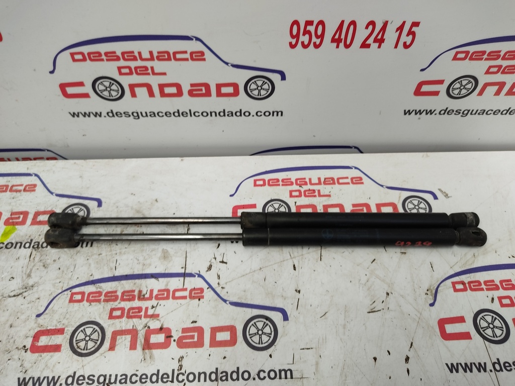 AMORTIGUADORES MALETERO / PORTON