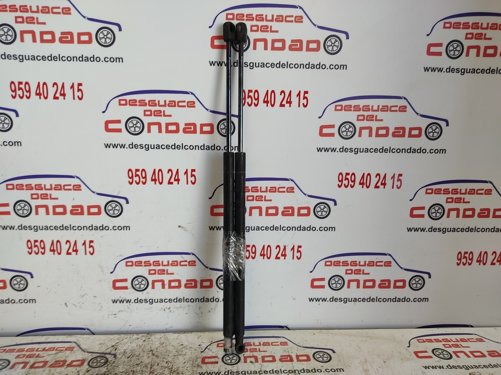 AMORTIGUADORES MALETERO / PORTON