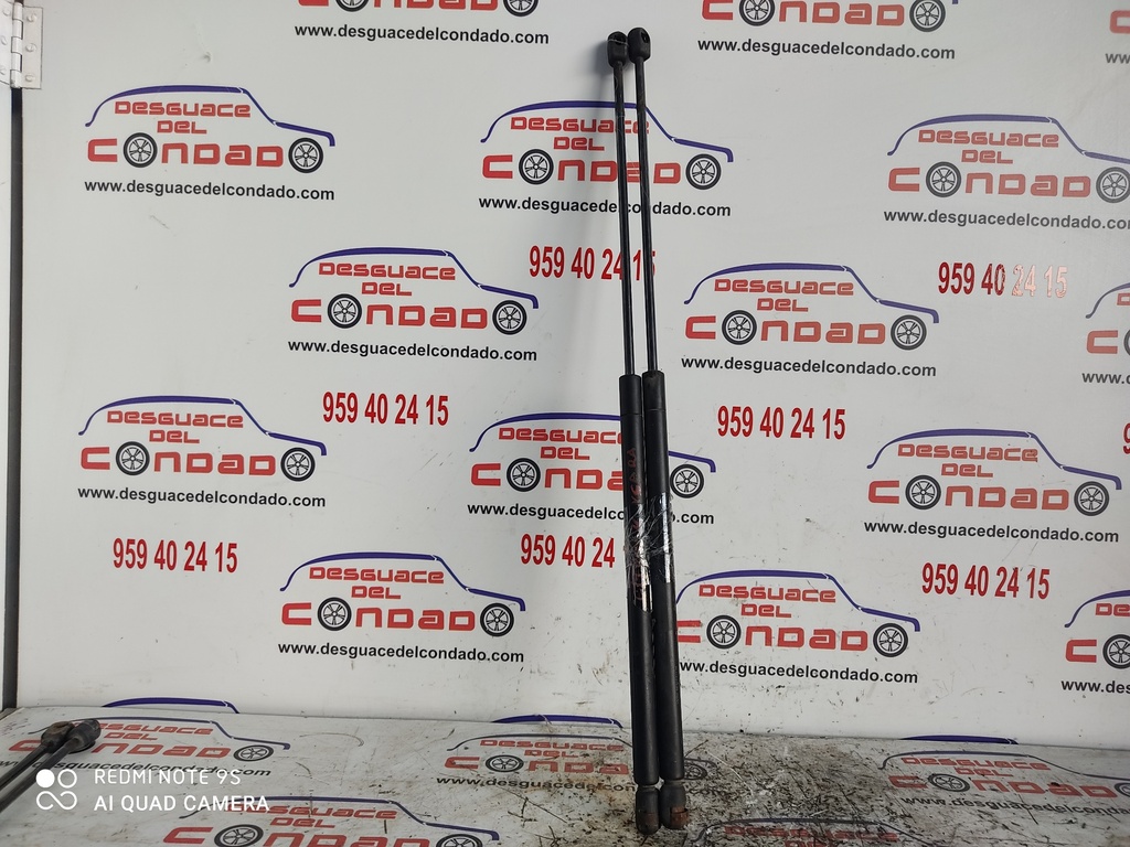 AMORTIGUADORES MALETERO / PORTON