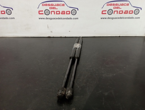 [182053] AMORTIGUADORES MALETERO / PORTON