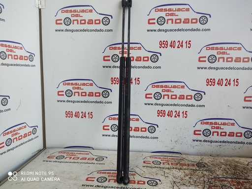 [109754] AMORTIGUADORES MALETERO / PORTON