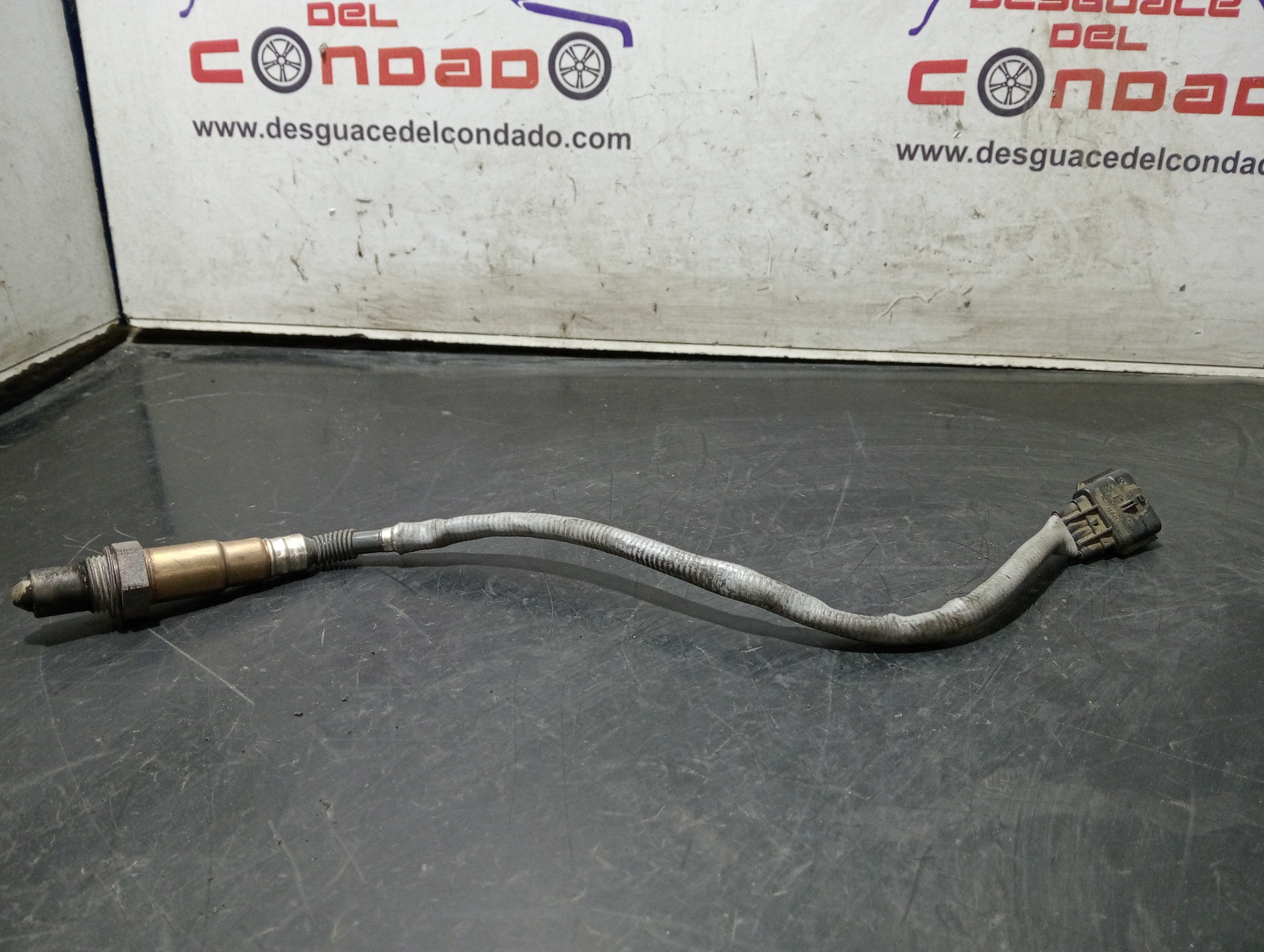 SONDA LAMBDA