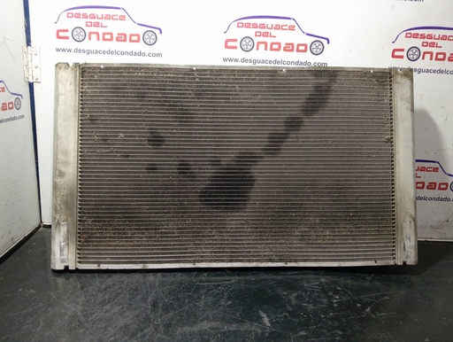 [199420] RADIADOR AGUA