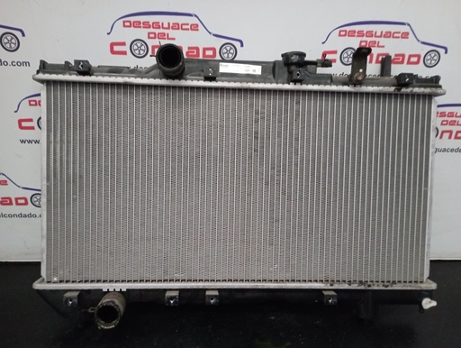 [174460] RADIADOR AGUA